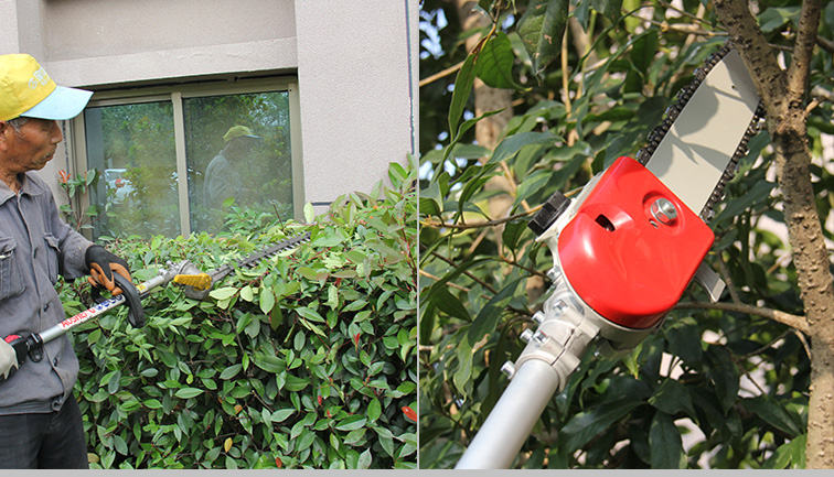 Jakie są umiejętności cięcia narzędzi w zakresie konserwacji ogrodu?